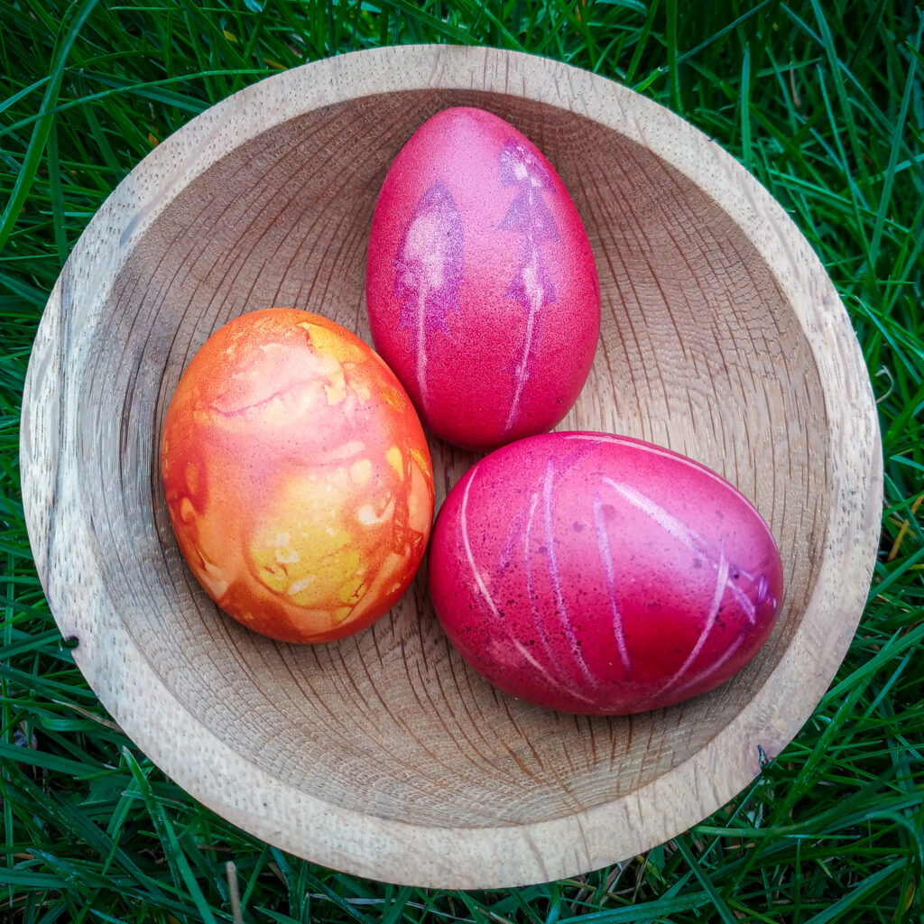 Oeufs teins