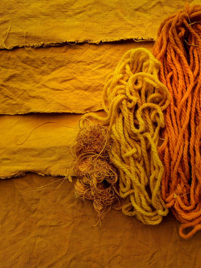 Teinture aux anthémis